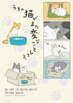 A4 Folder: Cat Smoosh