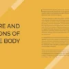Art Class: Anatomy for the Artist. A complete guide to drawing the human form