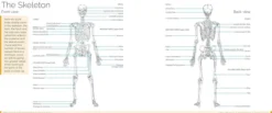 Art Class: Anatomy for the Artist. A complete guide to drawing the human form