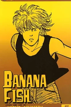 Banana Fish Vol 5