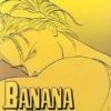 Banana Fish Vol 9