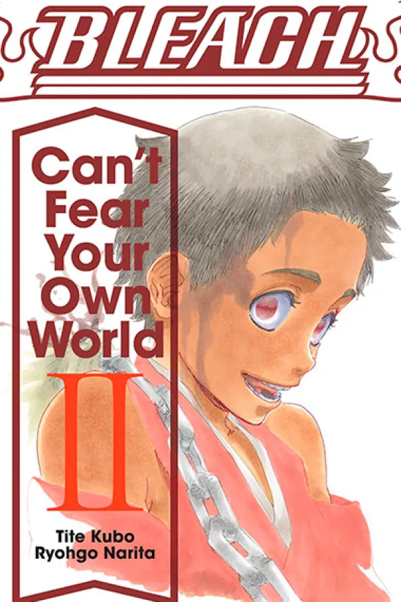 Bleach Can't Fear Your Own World Novel 2