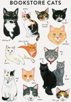 Bookstore Cats Flexi Journal