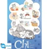 (B6) Poster Maxi Chi's Dream