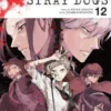 Bungo Stray Dogs Vol 12