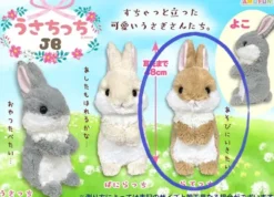 Bunny Plush Big: Curious Rate