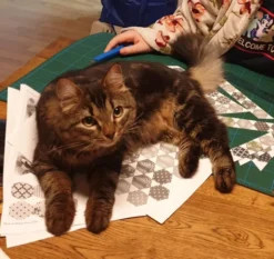 Calico Board Game