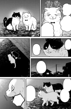 Cat Companions Maruru and Hachi Vol. 1