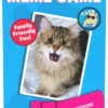 Cats Doing Things Meme Game