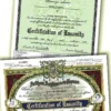 Certificates of Insanity from Arkham Asylum