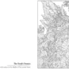 Dark Fairies - A Cursed Colouring Experience