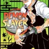 Demon Slayer Kimetsu no Yaiba Vol 17