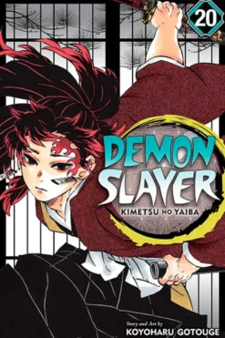 Demon Slayer Kimetsu no Yaiba Vol 20