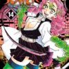 Demon Slayer Kimetsu no Yaiba Vol 14