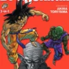 Dragon Ball 3-in-1 Vol 6
