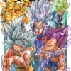 Dragon Ball Super Vol 24