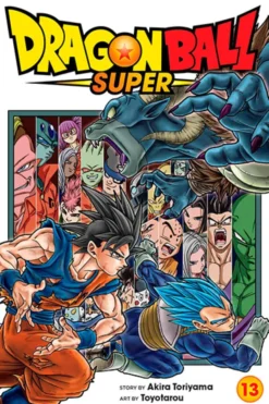 Dragon Ball Super Vol 13