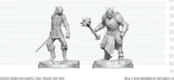 Dragonborn Paladin & Dragonborn Squire