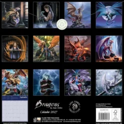 Dragons by Anne Stokes Wall Calendar 2027 (Art Calendar)