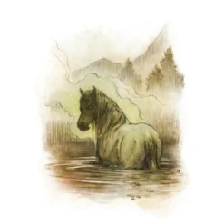 Drakar och Demoner - Monsterboken