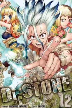 Dr Stone Vol 12