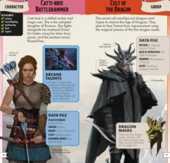 Dungeons & Dragons Pocket Expert