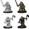 Dwarf Female Barbarian