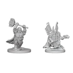 Dwarf Male Paladin