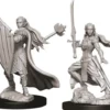 Elf Female Paladin