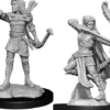 Elf Female Ranger (W13)