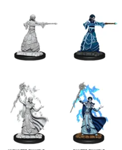 Elf Female Wizard (2020)
