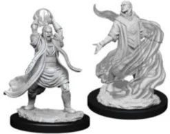 Elf Male Sorcerer (2020)