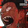 Fire Force Omnibus 12 (Vol. 33-34)