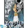 (F3) Poster Maxi Tomie