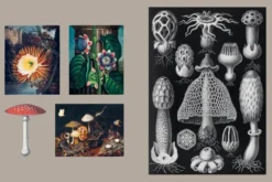 Gothica Sticker Book More than 400 Mysterious & Mystical Gothic Stickers