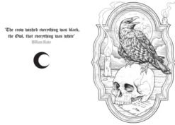 Gothic Colouring Book - Embrace the Darkness
