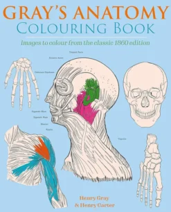 Gray's Anatomy Colouring Book