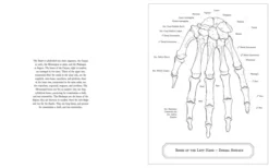Gray's Anatomy Colouring Book
