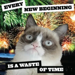 Grumpy Cat Wall Calendar 2027