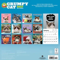 Grumpy Cat Wall Calendar 2027