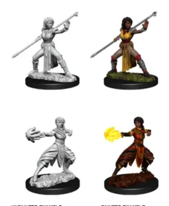 Half-Elf Female Monk