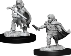 Halfling Male Rogue (W13)
