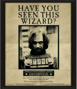 Harry/Sirius Wanted Framed 3D Lenticular Poster