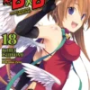 High School DXD Light Novel 18