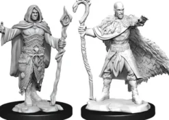 Human Druid Male