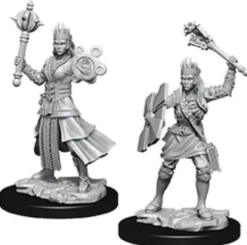 Human Female Cleric