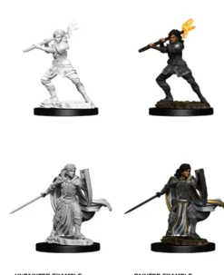 Human Female Paladin
