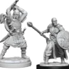 Human Male Barbarian (W13)