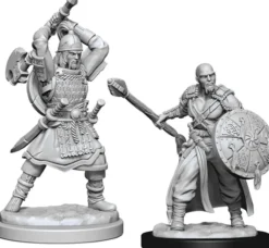 Human Male Barbarian (W13)