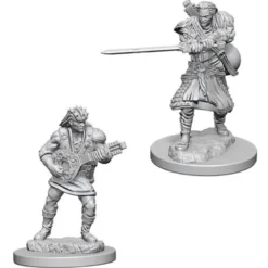 Human Male Bard
